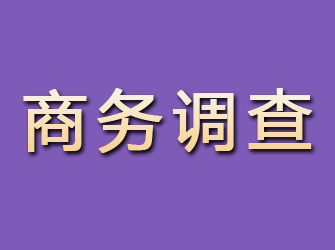 漳县商务调查